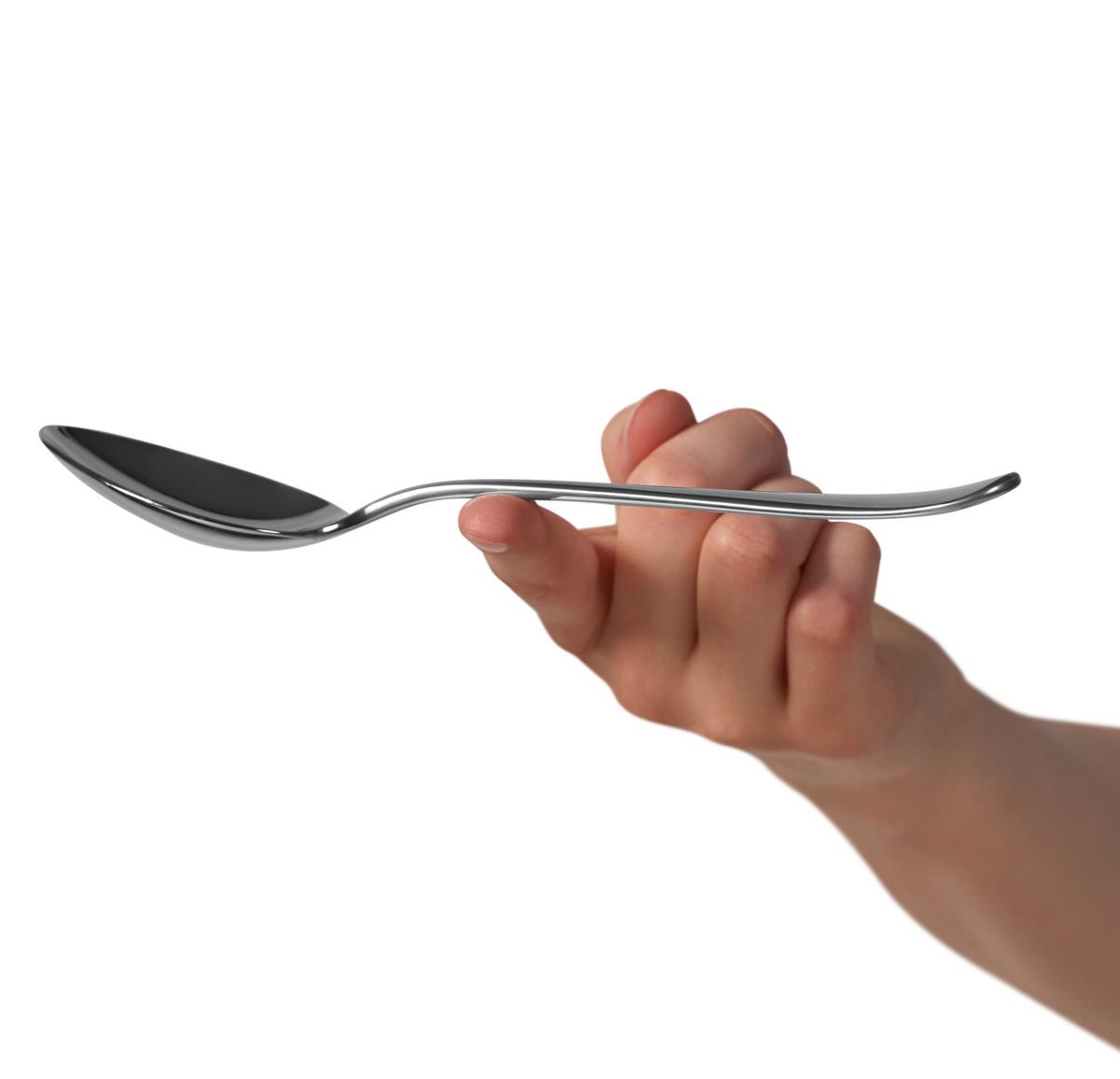 ZESTAW SZTUĆCÓW 12 7291 6040 PALMA WMF - kolor stalowy, Design, metal - WMF