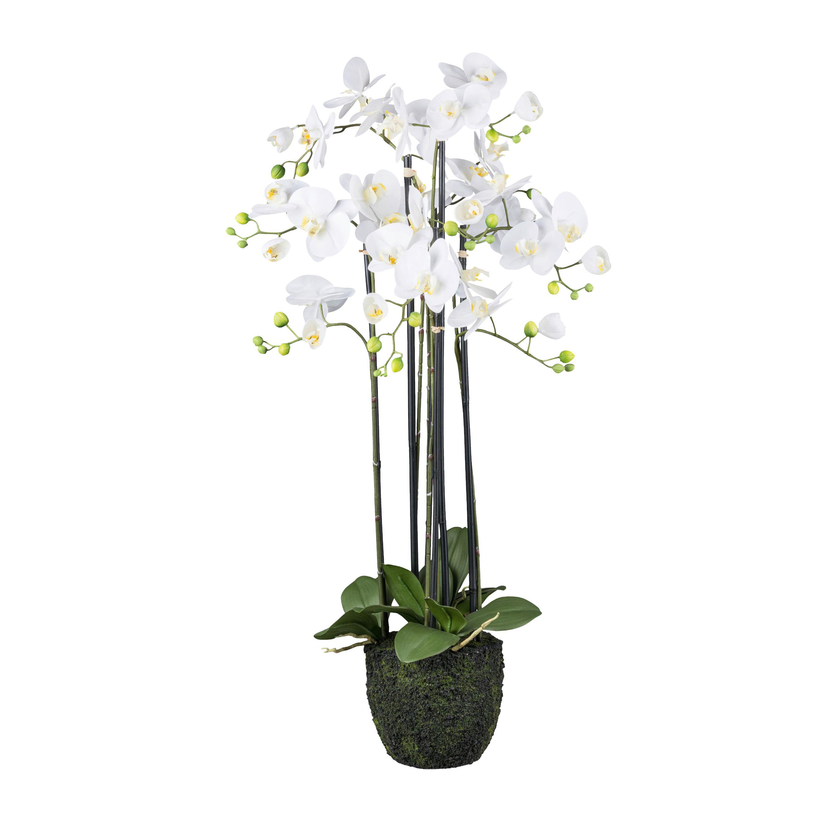 Kunstpflanze Orchideen Grün/Weiß ca. 93cm - Weiß/Grün, Design, Kunststoff (93cm)