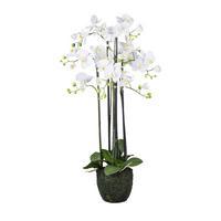 Kunstpflanze Orchideen Grün/Weiß ca. 93cm - Weiß/Grün, Design, Kunststoff (93cm)