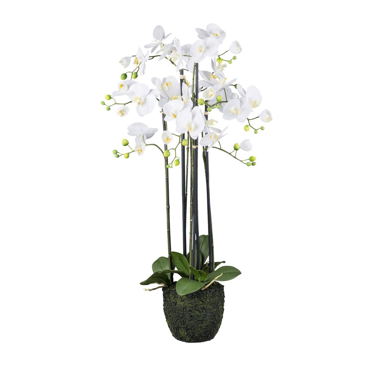 Kunstpflanze Orchideen Grün/Weiß ca. 93cm - Weiß/Grün, Design, Kunststoff (93cm)