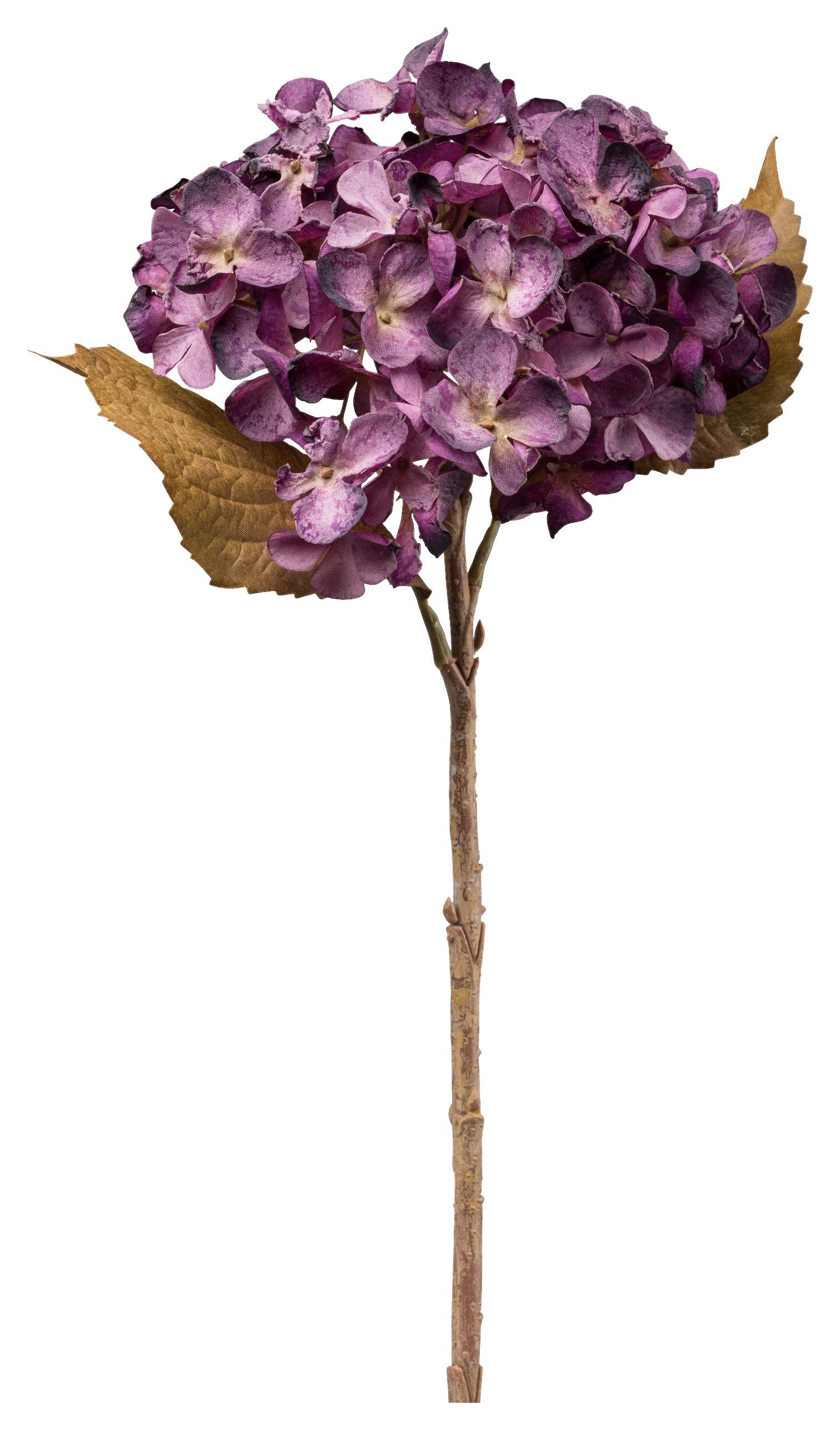 Műnövény Hortensie I - lila/natúr színű, Basics, műanyag (46cm) - Mömax