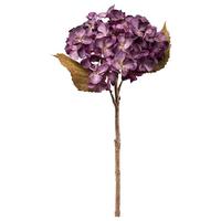 Műnövény Hortensie I - lila/natúr színű, Basics, műanyag (46cm) - Mömax