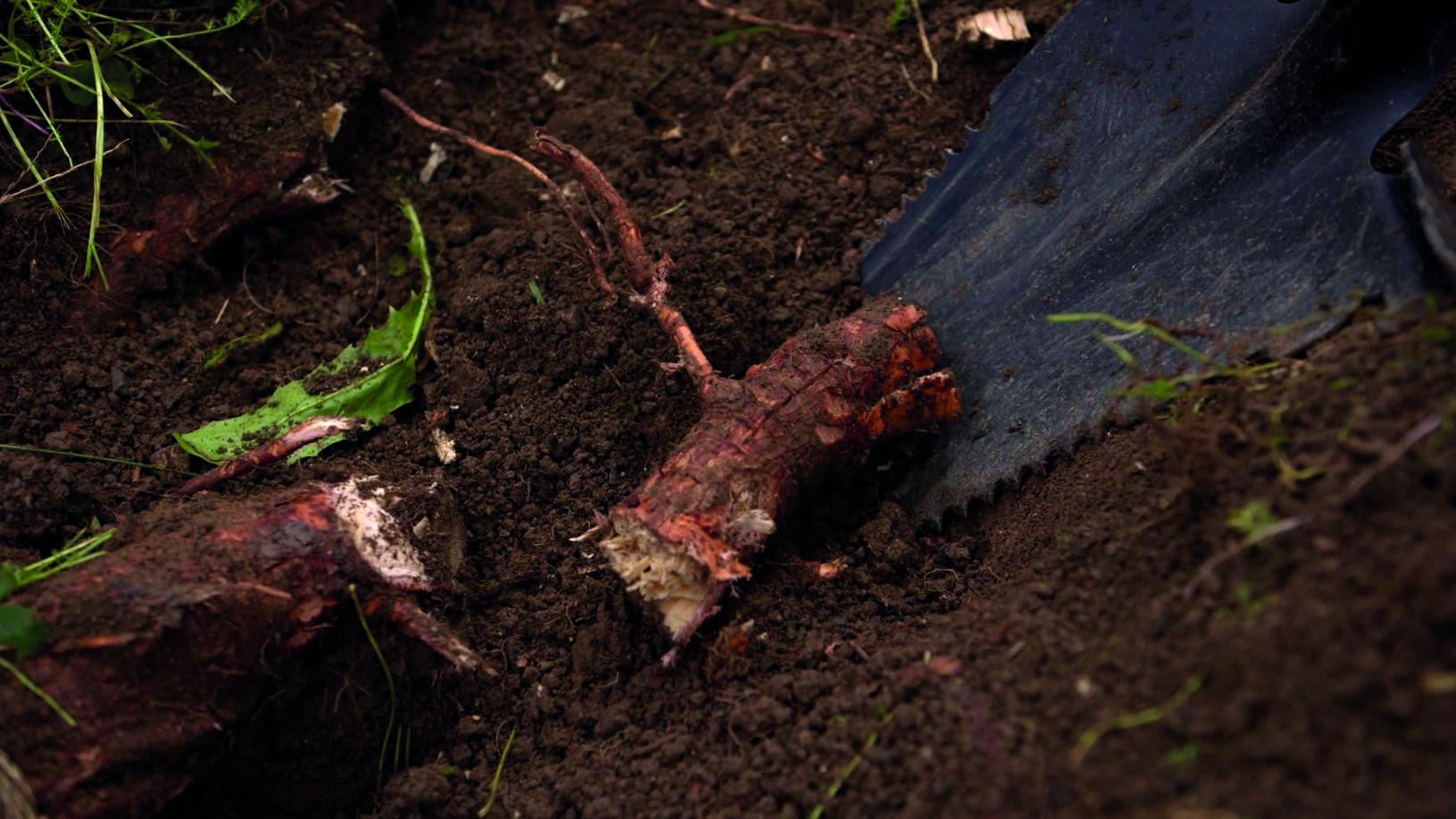 Multifunkciós Ásó Hammersmith Rayzer Shovel - (113/25,2/4cm) - Mediashop