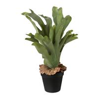 Kunstpflanze Grün - Schwarz/Grün, Basics, Kunststoff (37cm)