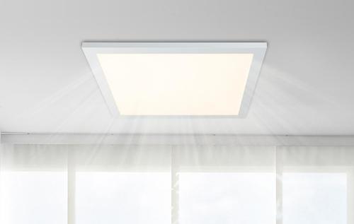 Stropna Led-svetilka Rosi - bela/opal, Basics, kovina/umetna masa (45/45/5cm) - Globo