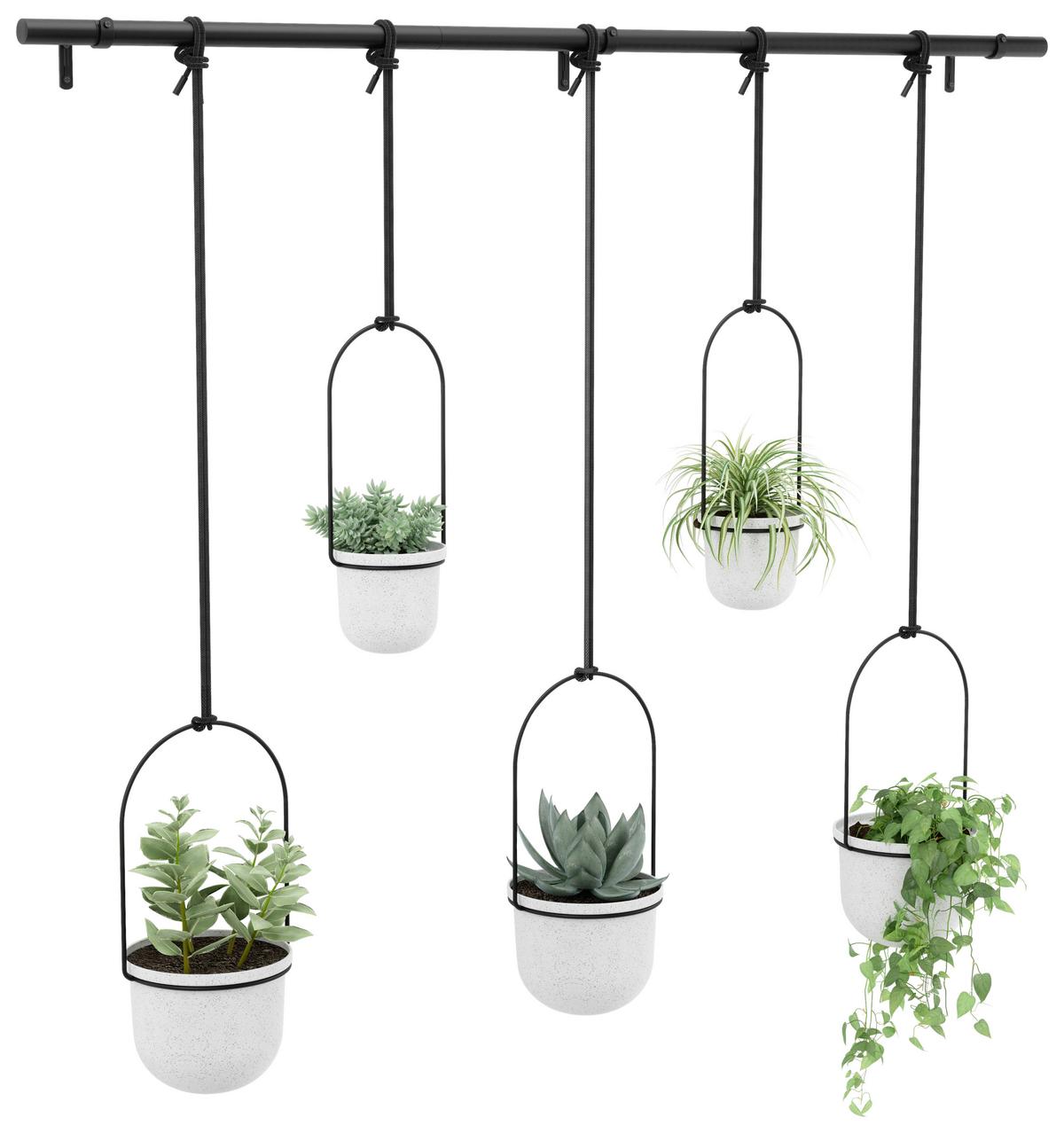 Pflanzentop Schwarz/Weiß - Schwarz/Weiß, Design, Kunststoff/Metall (18,4/94,6/137,8cm) - Umbra