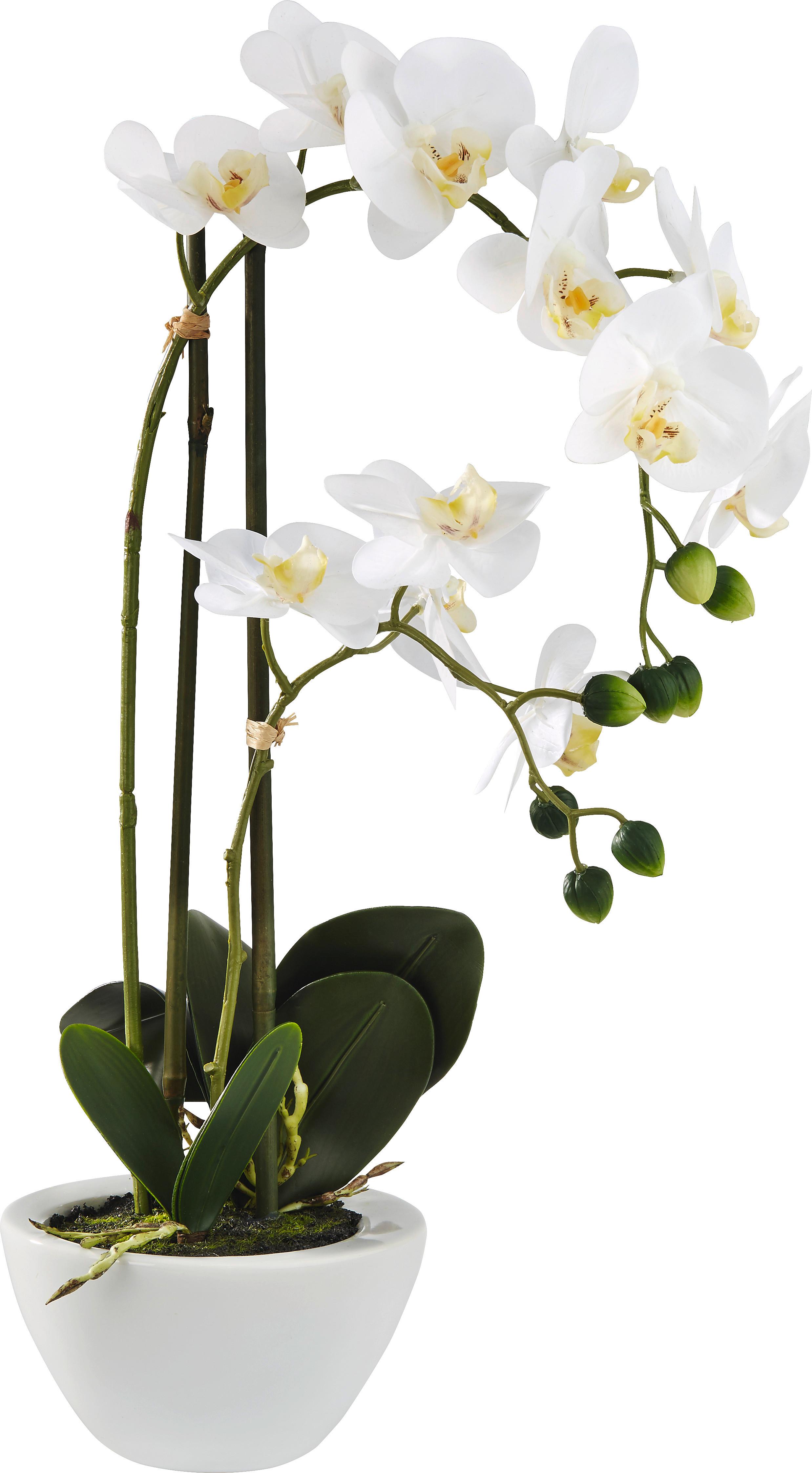 fancy blumenkästen Pflanzkübel | Fiberglas | rechteckig | 100x25x25cm