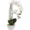 Plantă artificială Orchidee - alb/verde, plastic/metal - Modern Living