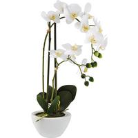 Kunstpflanze Orchidee in Weiß - Weiß/Grün, Kunststoff/Textil - Modern Living