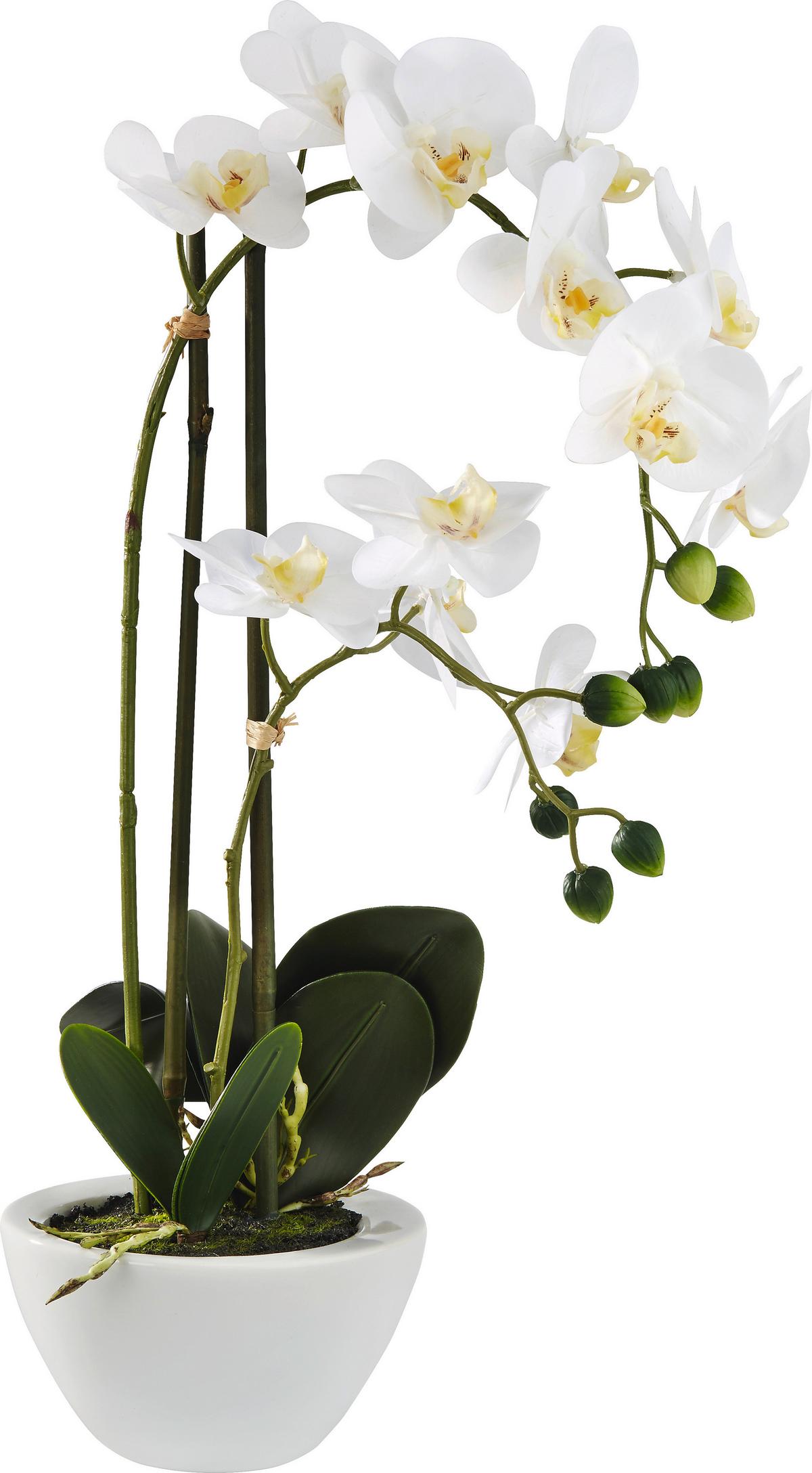 Kunstpflanze Orchidee in Weiß - Weiß/Grün, Kunststoff/Textil - Modern Living