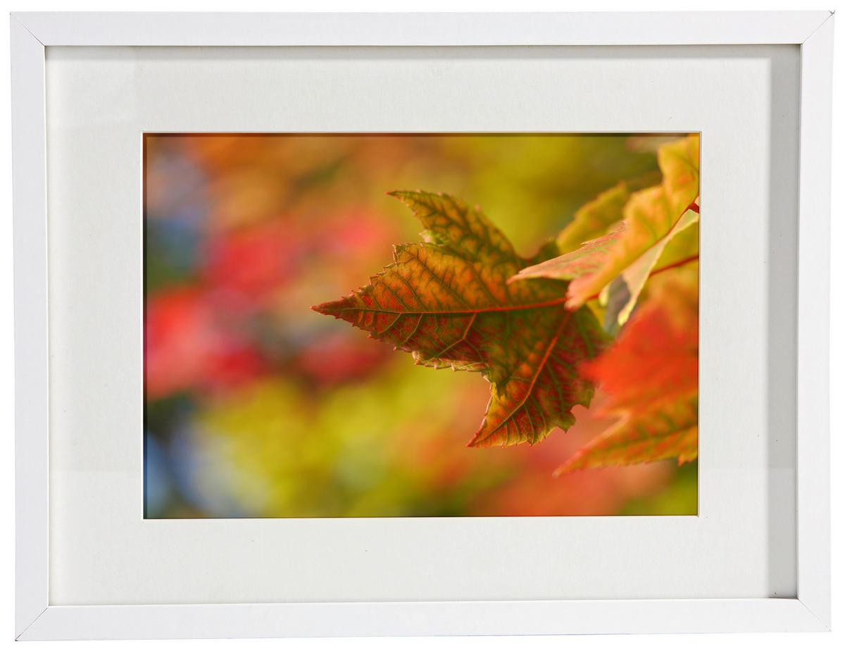 Bilderrahmen Gitta in Weiß ca. 30x40cm - Weiß, MODERN, Glas/Holzwerkstoff (30/40cm) - Modern Living