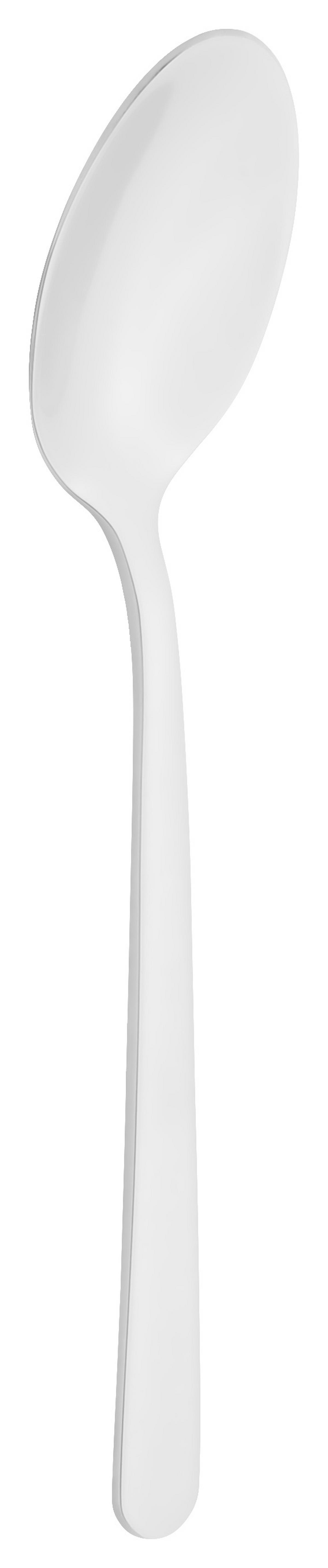 ZESTAW SZTUĆCÓW 67TLG BETA NC 0173666100 - kolor srebrny, Modern, metal (43/8.5/35.5cm) - Berndorf