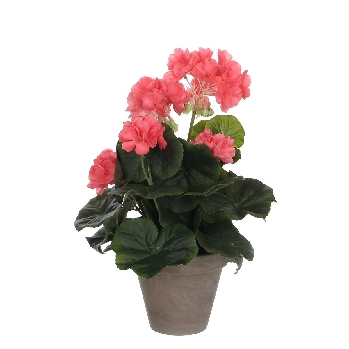 Umetna Rastlina Greta - Konvencionalno (20/34cm) - Mömax