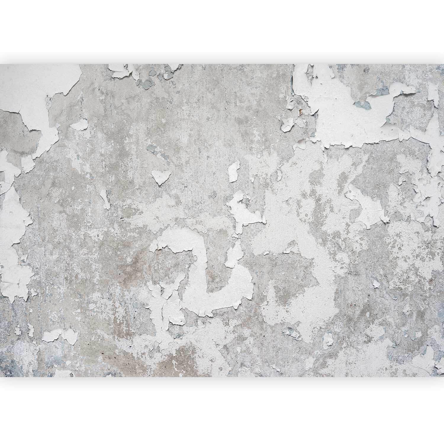 Fototapeta Greek Frescoes, 250x175cm - sivobež/siva, Trendi, tekstil (250/175cm) - artgeist