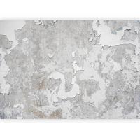 Fototapeta Greek Frescoes, 250x175cm - sivobež/siva, Trendi, tekstil (250/175cm) - artgeist