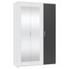 DREHTÜRENSCHRANK JAN -EXKLUSIV- - Chromfarben/Anthrazit, KONVENTIONELL, Glas/Holzwerkstoff (135/210/52cm) - Mömax