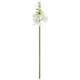 Kunstblume Freesie I Weiß - Weiß/Grün, Basics, Kunststoff (50cm) Kunstblume Freesie I Weiß - Weiß/Grün, Basics, Kunststoff (50cm)