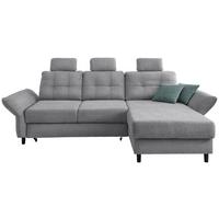 Wohnlandschaft Brizzini Silberfarben Chenille - Mintgrau/Silberfarben, MODERN, Holz/Textil (250-280/176cm) - Livetastic