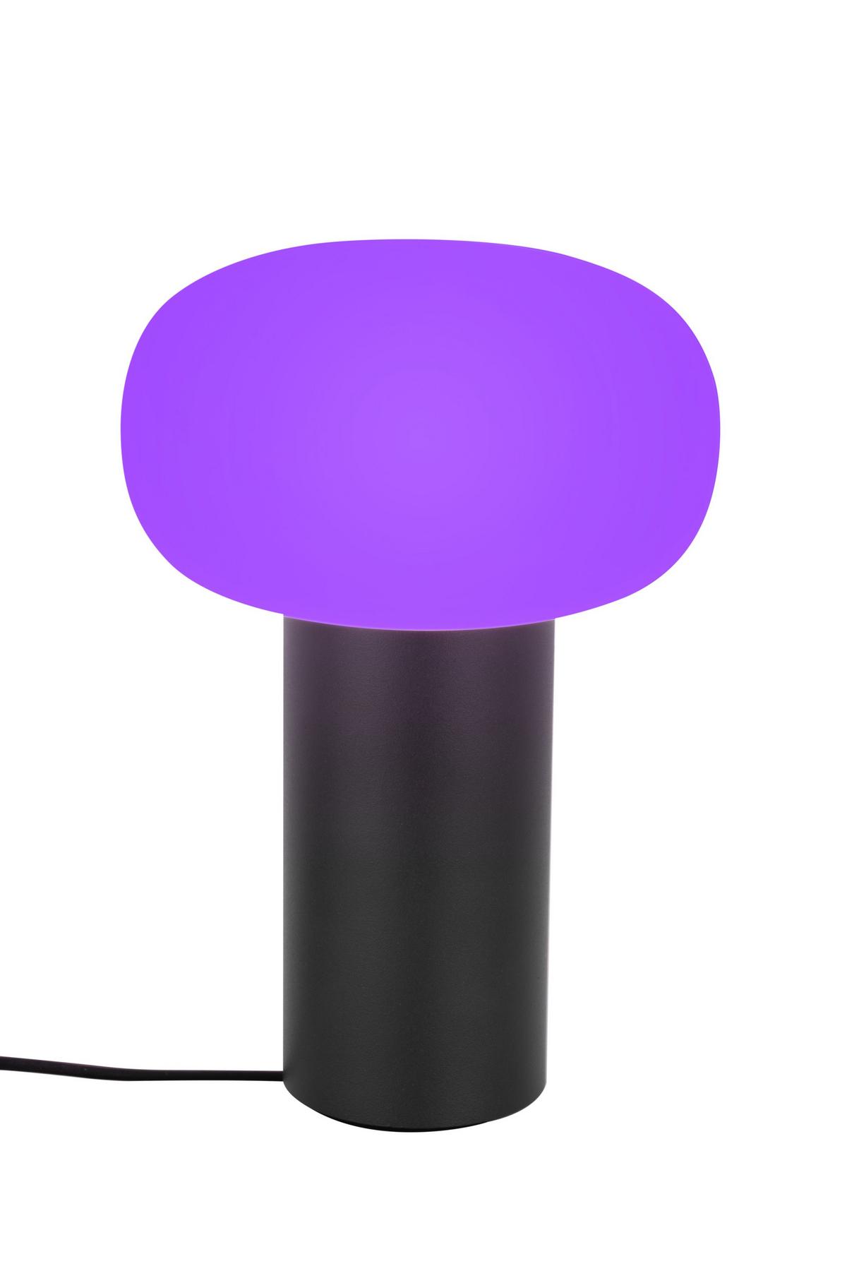 LAMPA STOŁOWA Z AKUMULATOREM FUNGO - biały/ciemnoszary, Design, metal/szkło (13/19cm) - Dieter Knoll