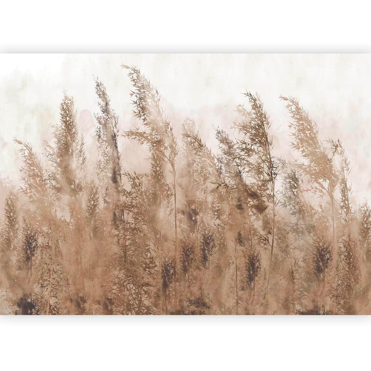 Fototapeta Tall Grasses, 400x280cm - svetlo rjava/bež, Trendi, tekstil (400/280cm) - artgeist