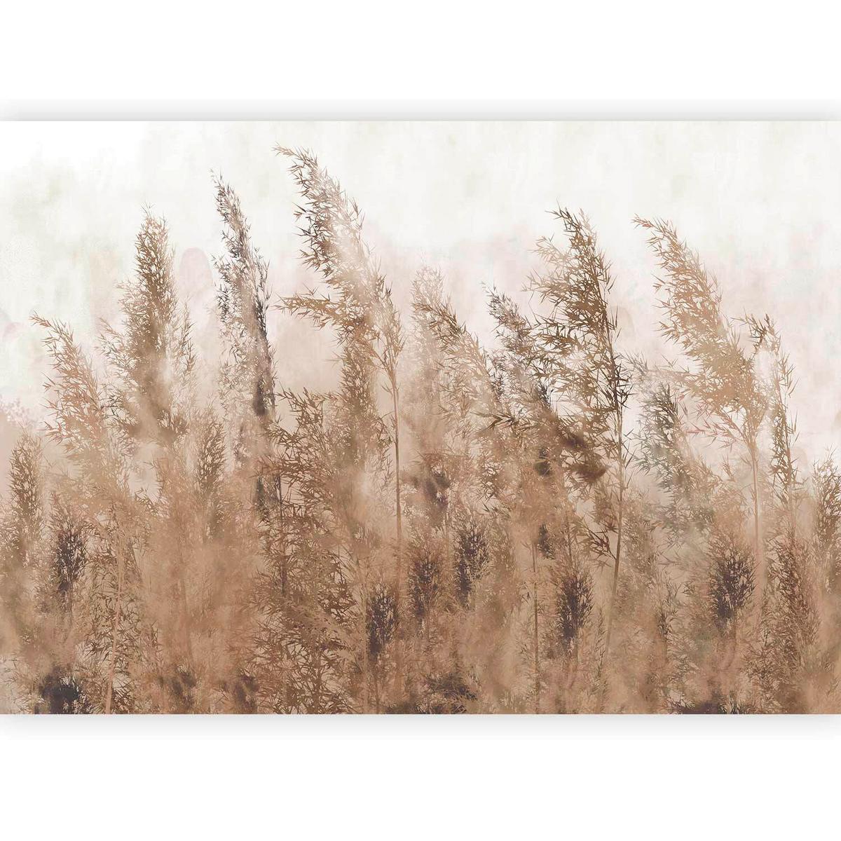 Fototapeta Tall Grasses, 400x280cm - svetlo rjava/bež, Trendi, tekstil (400/280cm) - artgeist