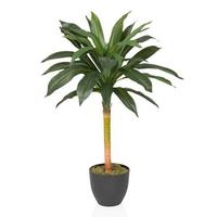 Umetna Rastlina Dracaena I - črna/zelena, Moderno, umetna masa (33/85/33cm) - MID.YOU