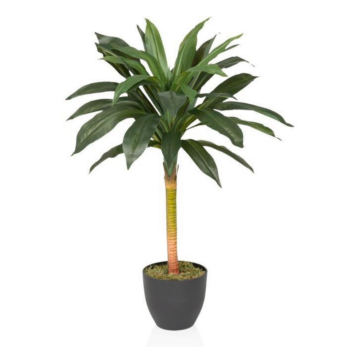 Umetna Rastlina Dracaena I - črna/zelena, Moderno, umetna masa (33/85/33cm) - MID.YOU