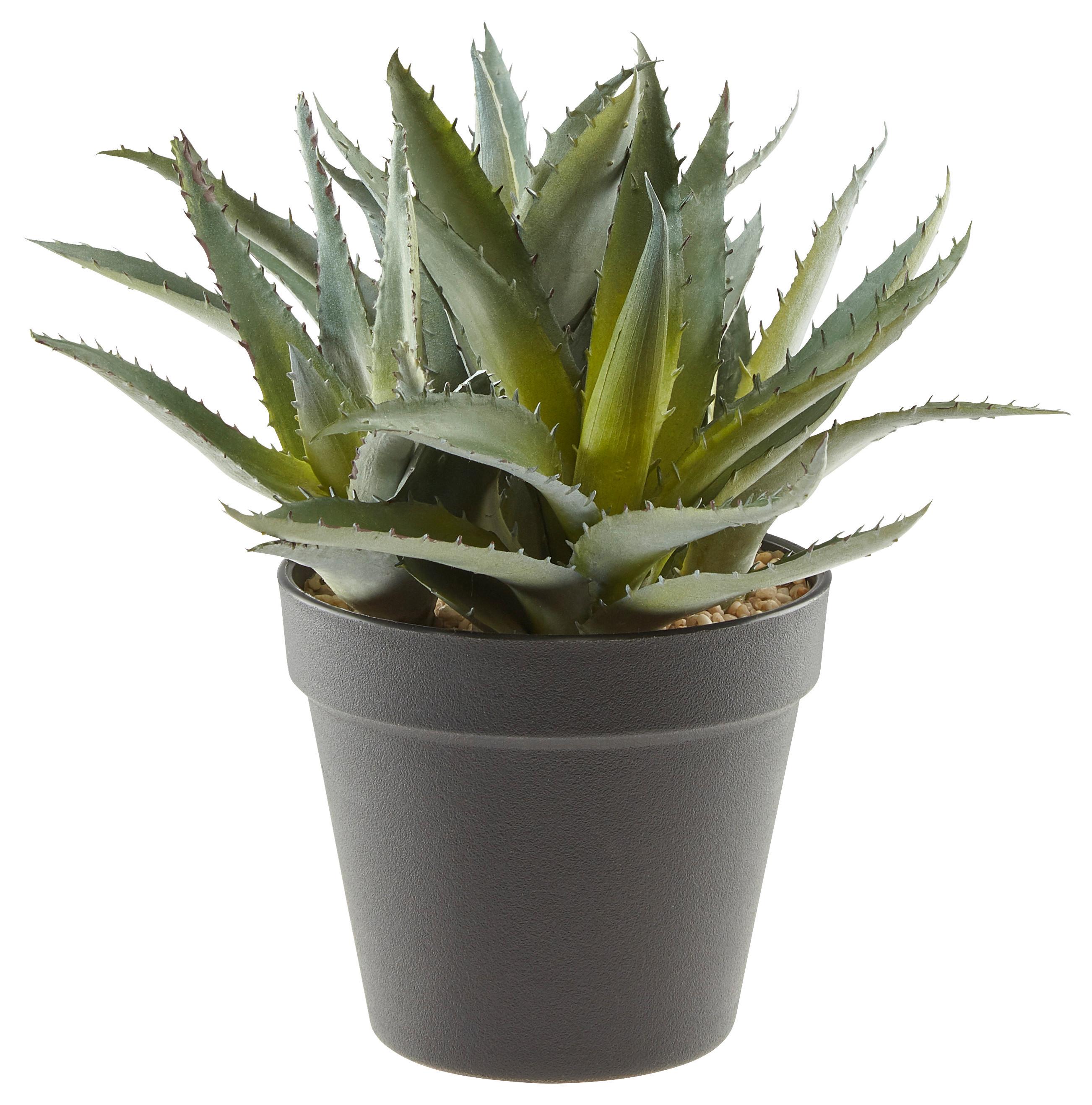 Plantă artificială Aloe - verde, Basics, plastic (23cm)