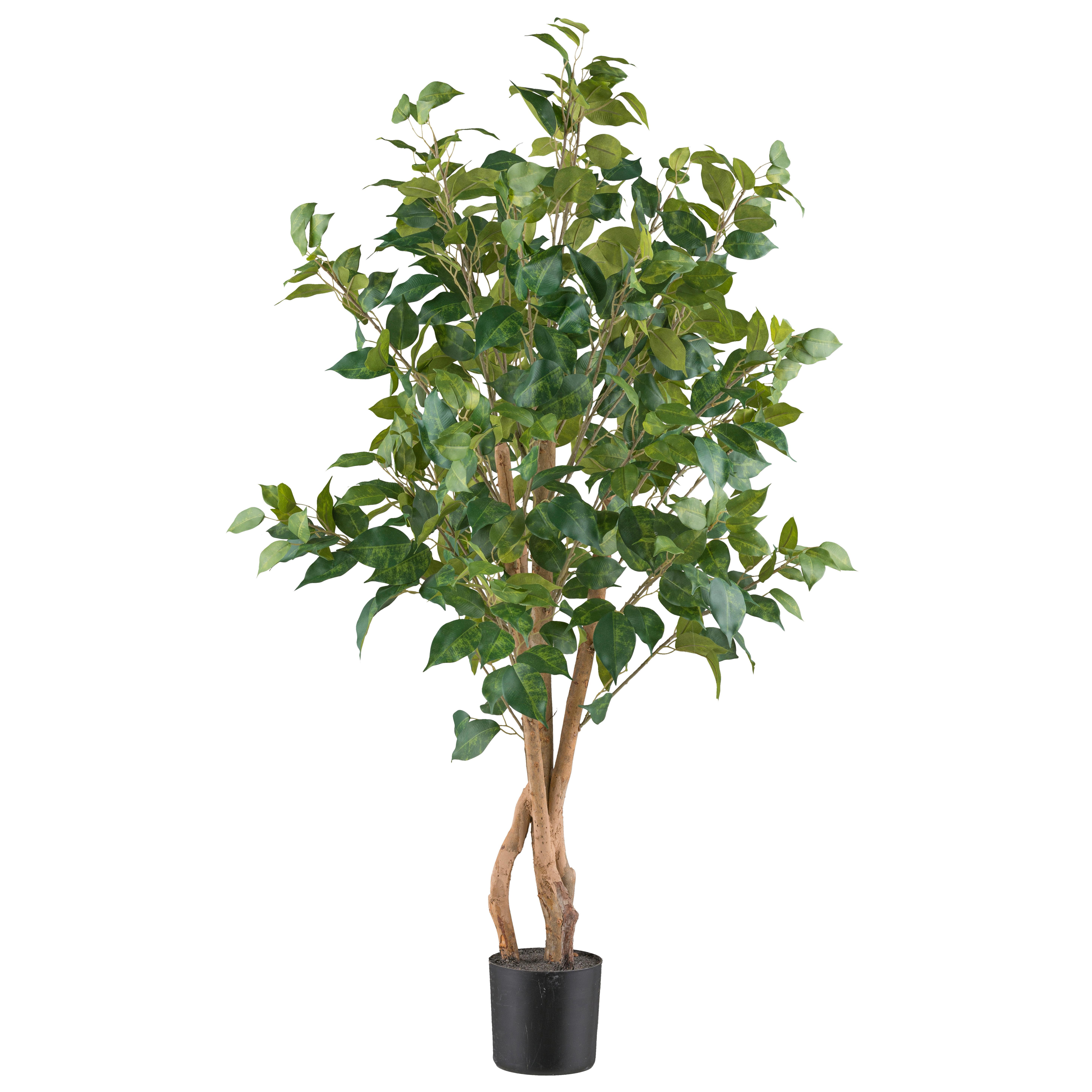 Umetna Rastlina Ficus Benjamina Ii - črna/zelena, Konvencionalno, umetna masa (11,5/110cm) - Mömax