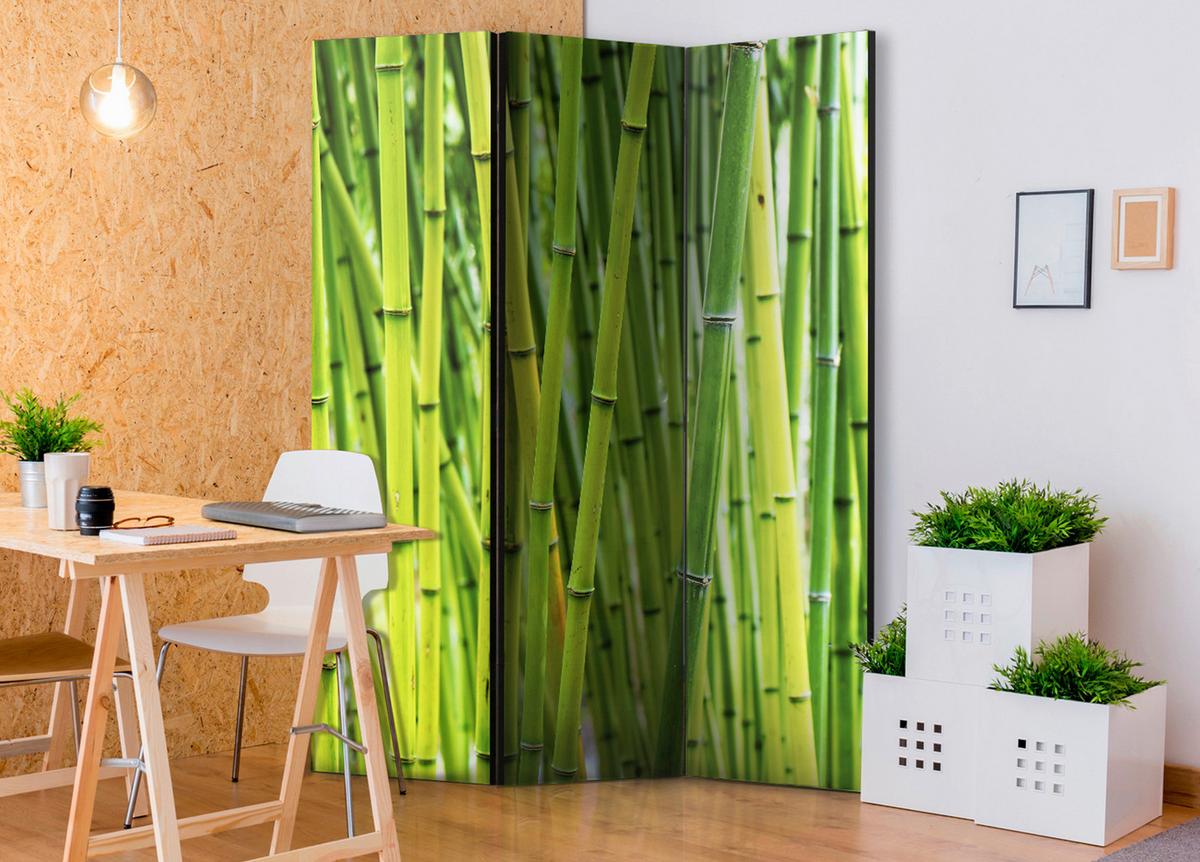 Paravan Bamboo Forest, 3-Delni, Enostranski - svetlo zelena, Basics, tekstil/les (135/172/3cm) - artgeist