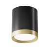 Aufbauleuchte Hoop Schwarz/Goldfarben max.15 Watt - Goldfarben/Schwarz, Trend, Kunststoff/Metall (8,5/9,6cm) - MAYTONI