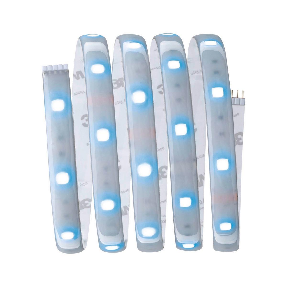 LED-Strip MaxLED 250 max. 10 Watt - Silberfarben, Basics, Kunststoff (151/0,3cm) - Paulmann