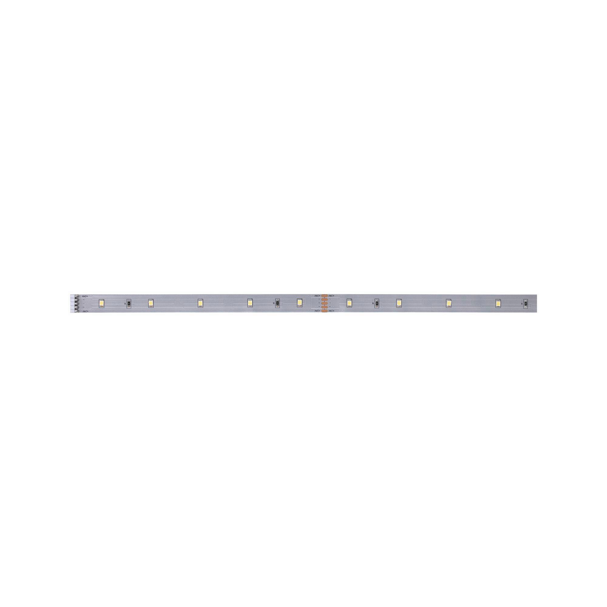 LED-Strip MaxLED 250 max. 4 Watt - Silberfarben, Basics, Kunststoff (100,0cm) - Paulmann