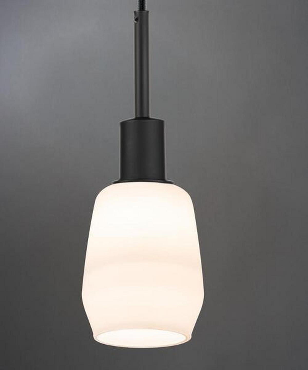 Schienensystem-Hängeleuchte Urail max. 20 Watt - Schwarz, Basics, Kunststoff/Metall (132cm) - Paulmann
