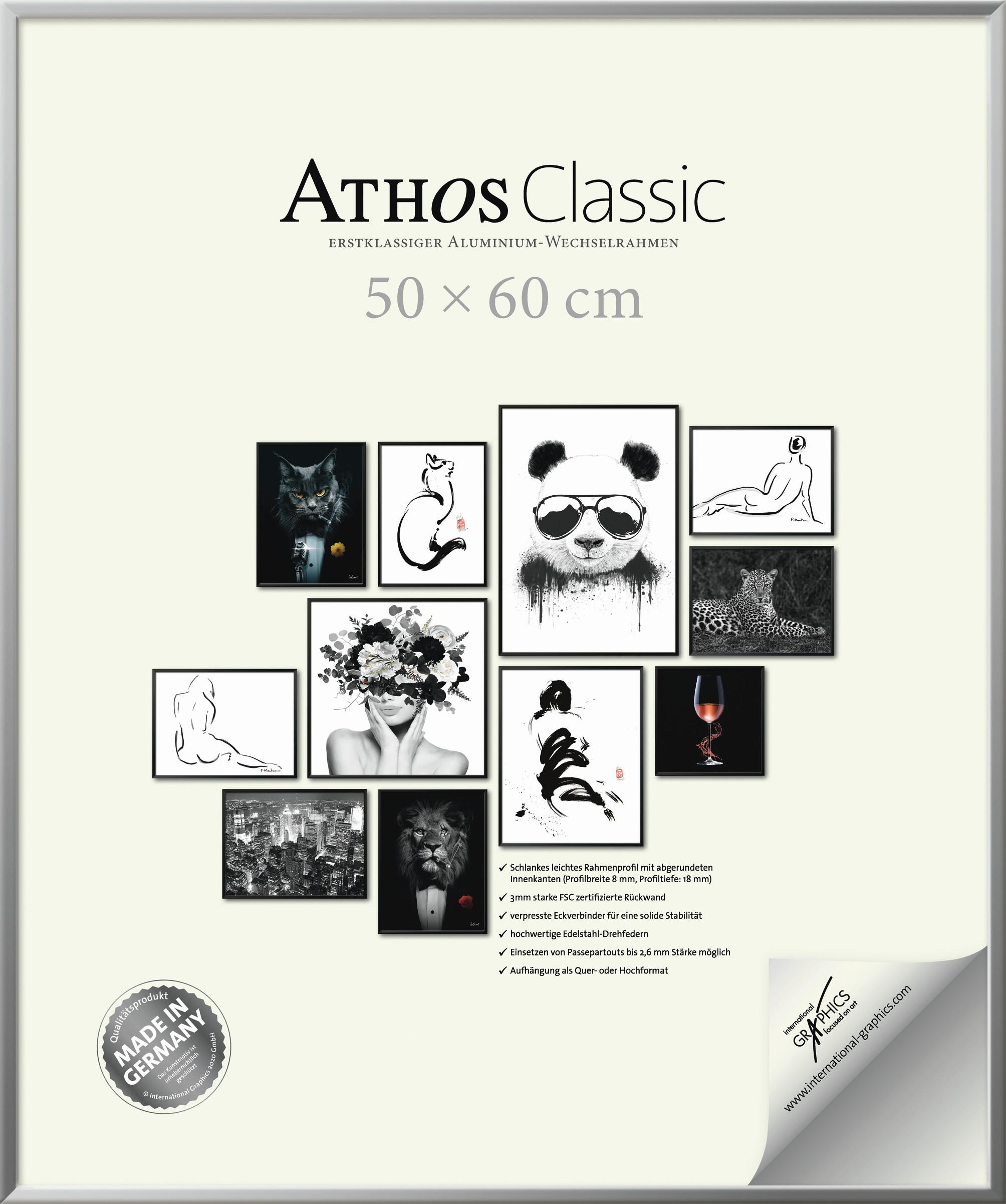 RAMKA NA ZDJĘCIA R-A0112481P - kolor chromowy, Basics, materiał drewnopochodny/tworzywo sztuczne (50/60/1,8cm)
