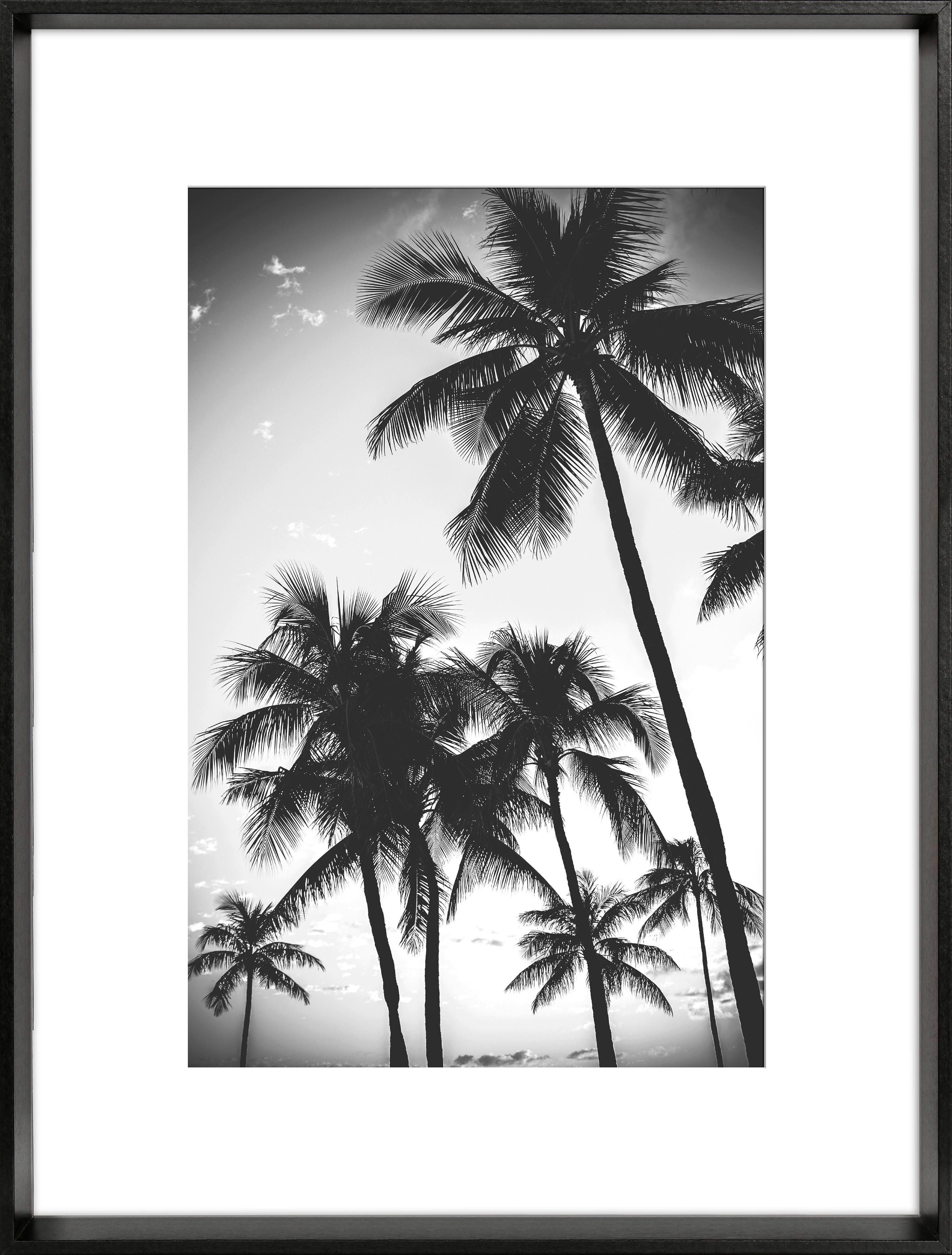 RAMKA NA ZDJĘCIA 711995 - czarny, Basics, materiał drewnopochodny/szkło (41,3/31,3cm)