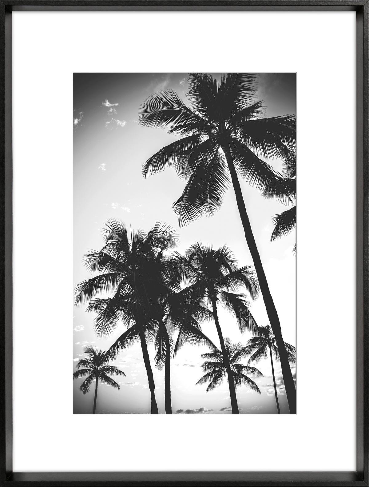 RAMKA NA ZDJĘCIA 711995 - czarny, Basics, materiał drewnopochodny/szkło (41,3/31,3cm)