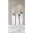 Dekosticker Orchidee in Weiß - Multicolor, Kunststoff (50/70cm) - MÖMAX modern living