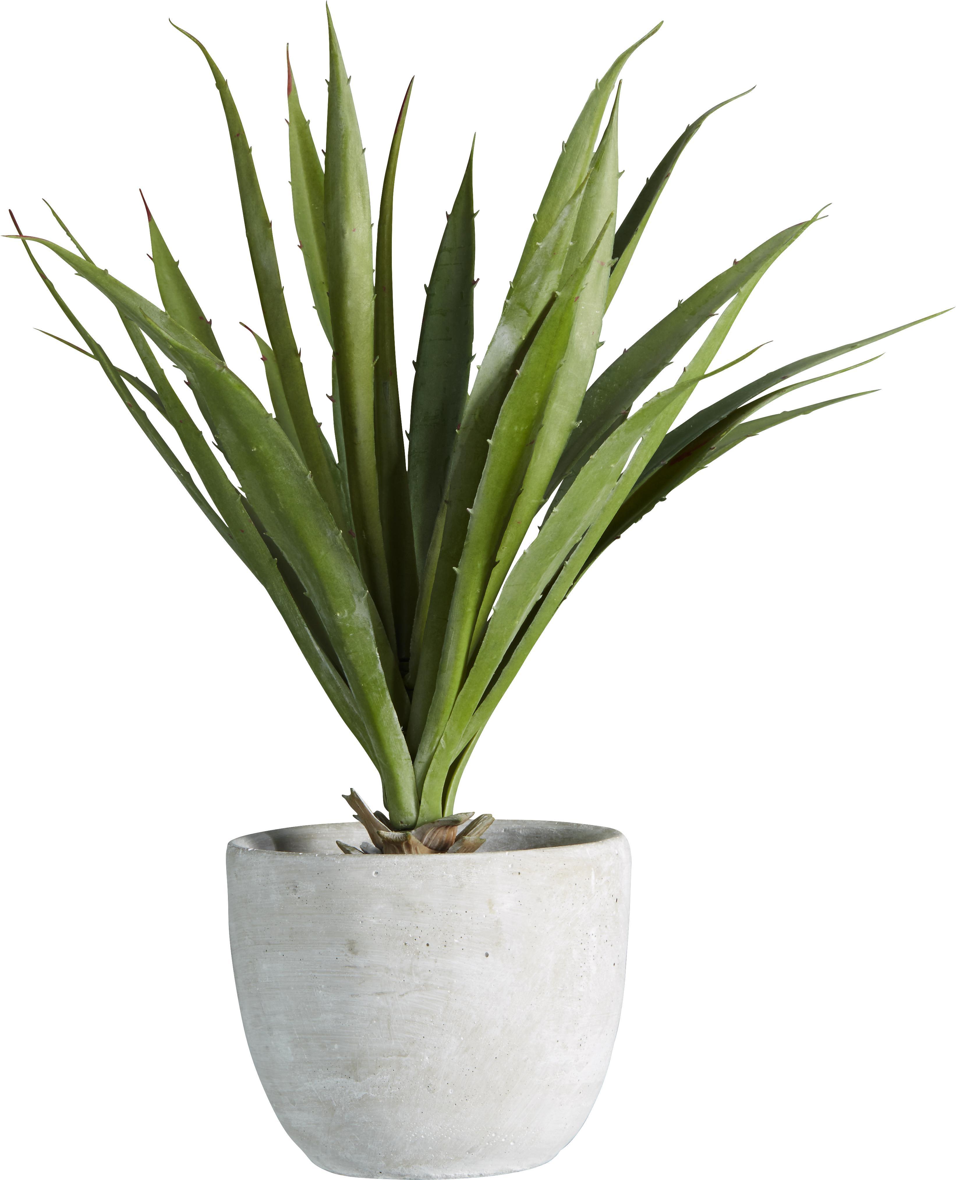 Kunstpflanze Agave Grün - Grün, KONVENTIONELL, Kunststoff (38 cmcm) - Mömax modern living