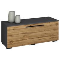 Nizka Omarica Arila, Hrast, Siva - črna/barve aluminija, Moderno, kovina/umetna masa (95/39/40cm) - MID.YOU