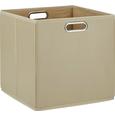 Aufbewahrungsbox Ivy Taupe - Taupe, Kunststoff/Metall (33/32/33cm) - MÖMAX modern living