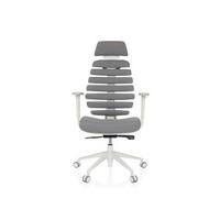 Pisarniški Stol Ergo Line W, Siva - temno siva/bela, Moderno, umetna masa/tekstil (67/116 - 133/65cm) - MID.YOU