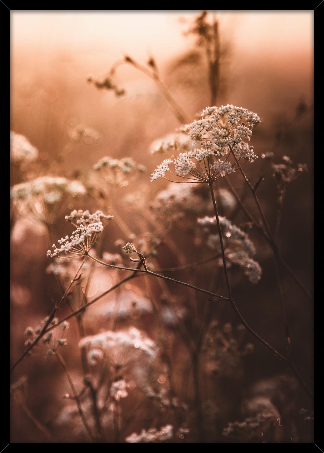 Bild Image ca. 50x70cm - Dunkelbraun/Beige, Holzwerkstoff/Papier (50/70cm) - Modern Living