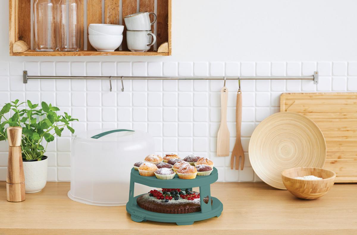 POJEMNIK DO TRANSPORTU CIASTA 1046005092 - zielony/przezroczysty, Basics, tworzywo sztuczne (35,5/34,5/26cm) - Rotho