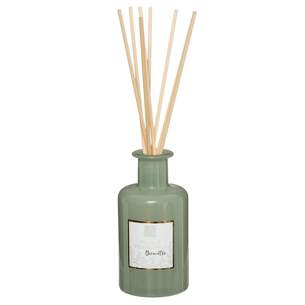 Dišava Za Prostor Mael Diffuser Eucalyptus - Basics (6,5/14cm) - Modern Living