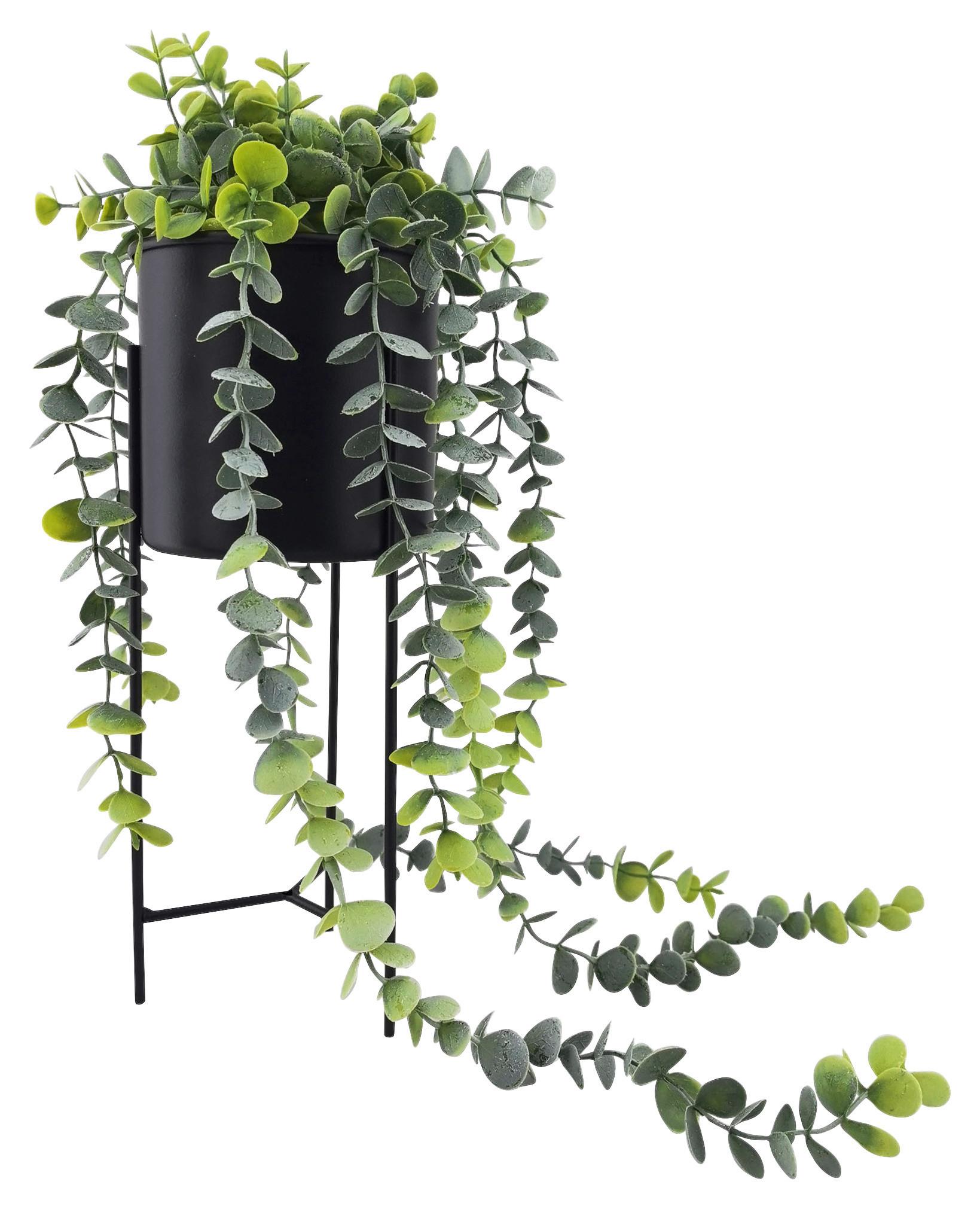 Kunstpflanze Joni Grün inkl. Topf - Schwarz/Grün, Basics, Kunststoff/Metall (11,8/36,5cm) - Mömax