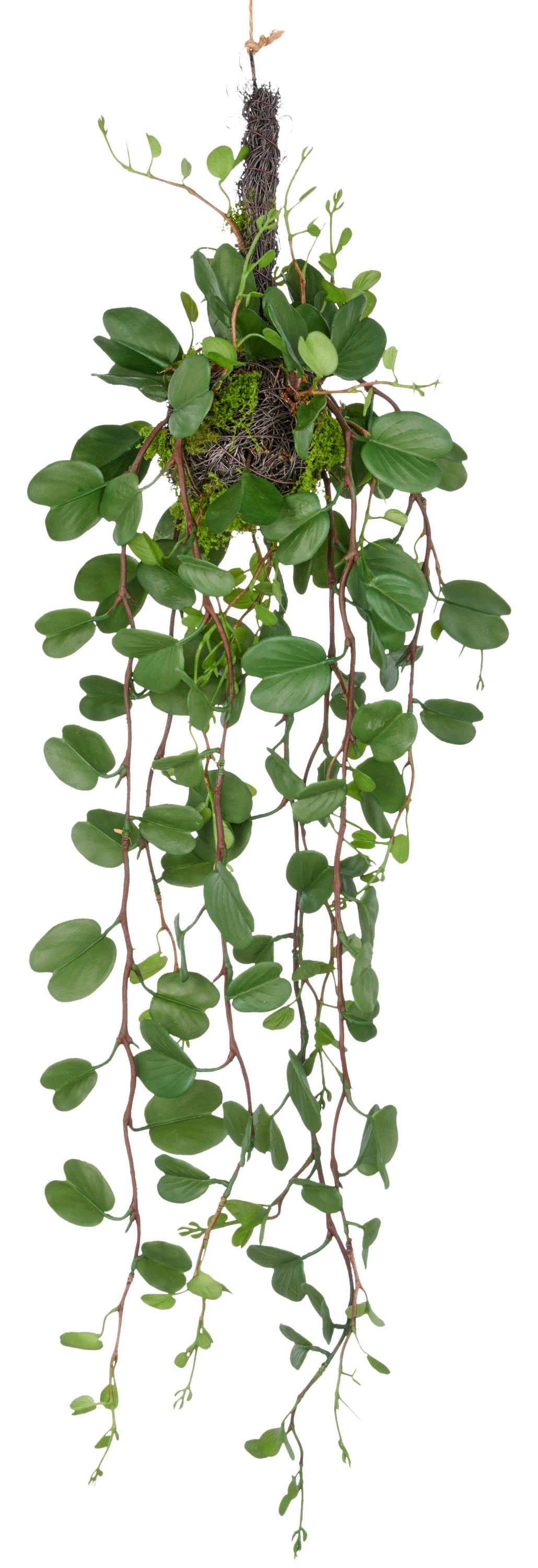 Umetna Rastlina Bauhiniahänger Ii - zelena, Trendi, umetna masa (90cm) - Mömax