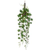 Umetna Rastlina Bauhiniahänger Ii - zelena, Trendi, umetna masa (90cm) - Mömax