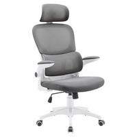 Pisarniški Stol Gary 2 V Sivi/beli Barvi - siva/bela, Moderno, umetna masa/tekstil (62/115-125/65cm) - Mömax