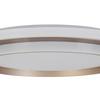 PLAFONNIER LED PROL - champagne/blanc, MODERN, métal/matière synthétique (46/5,5cm) - Mömax